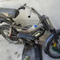 براوو فروش یا معاوضه با طوطی