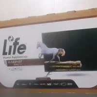 تلوزیون