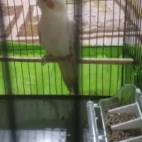 با سلام خدمت عزیزان