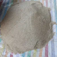 گزندە