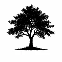 طراحی پوستر و ویرایش حرفه‌ای عکس