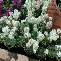 وقتشه پلنر « برنامه ریزی » خودتو داشته باشی