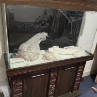 آکواریوم با لوازم