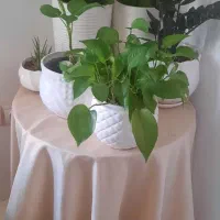 فروش گلها.گلدانها.میزخاطره ورومیزی ساتن