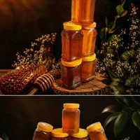 عسل شفا یا عسل وحشی از زنبور وحشی کوههای خاش