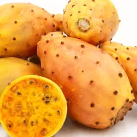 میوه گلابی خالدار زرد کاکتوس اپونتیا