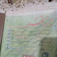 فرش ۶متری نگین مشهد|فرش|رباط‌کریم, نصیرشهر|دیوار