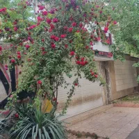 فروش/مغازه/۶۵متری/مهرشهر چمن2