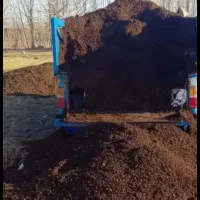 کود گوسفندی و گاوی خالص
