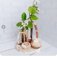 نیازمند۵۰ میلیون وام هستم