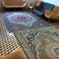 سویت روزانه