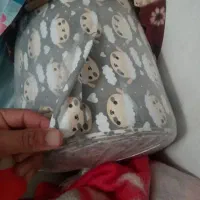 خیاطها جانمونید