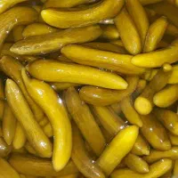 خیار شور تازه