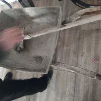 فرغون و بیل