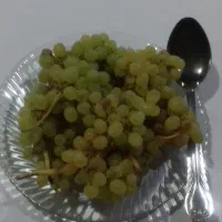 فروش انگور