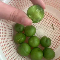 گوجه سبز با طعم دلخواه شما
