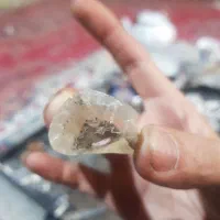 سنگهای عتیقه