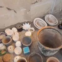 تعدای گلدان