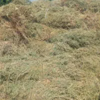 فروش علف و یونجه