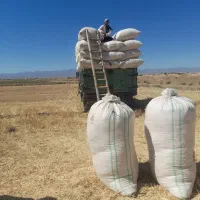 خرید و فروش کاه