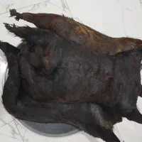 هیزه