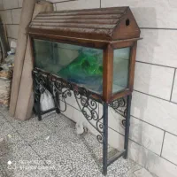 آکواریوم