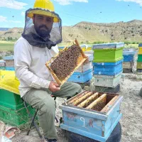 عسل طبیعی ضمانتی گون کوهستان محصول  با برگه آزمایش