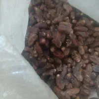 خرما چل بالاترین قیمت ایرانشهر