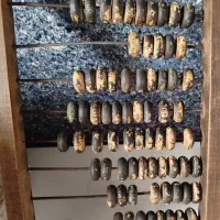 چرتکه قدیمی برای پدربزرگم بوده .