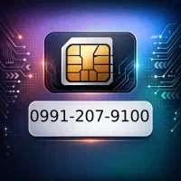 0991-207-9100
