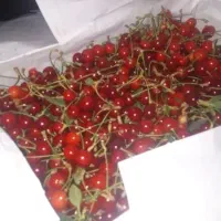 گیلاس|خوردنی و آشامیدنی|نهاوند, |دیوار