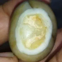 مهره قدیمی وکهنه