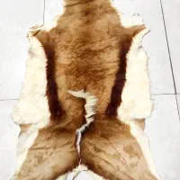 پوست دباغی شده اهو مناسب نوشتن دعاوحرز امام جواد