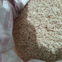 برنج طارم درجه یک