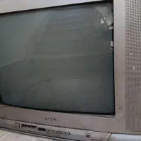 تلوزیون
