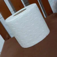 دستمال کاغذی به قیمت کارخانه