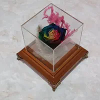رز جاودان
