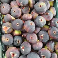 انجیر مشکی خوشمزه