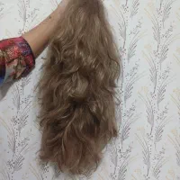 کلاه گیس