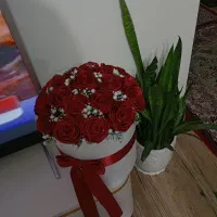 باکس گل|گل مصنوعی|مراغه, |دیوار