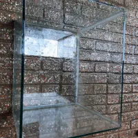 آکواریوم|ماهی|خان ببین, |دیوار