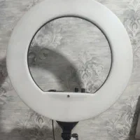 رینگ لایت