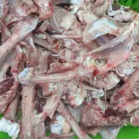 استخوان بوقلمون برای سگ
