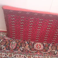 یه عدد پشتی