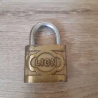 قفل لیون شیرنشان برنجی و۴ قفل کتابی سماجنس ترک ترک