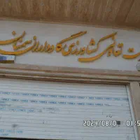 جذب توسط شرکت تعاونی در شهر سمنان