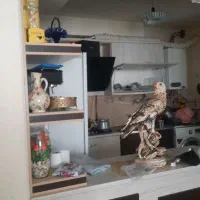 مسکن-مهر-دولت-آباد-پارت-E
