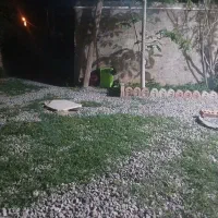 کود شیمایی اوره