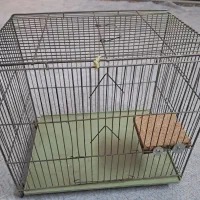 قفس پرنده