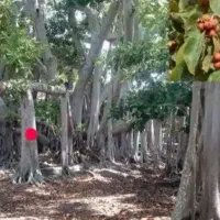 آموزش تخصصی دروس رشته تجربی توسط دانشجوی پزشکی